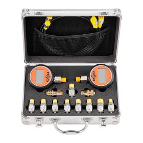 Digital Hydraulic Pressure Test Coupling Kit, 10000 PSI Pressure Gauge Manometer Tester with 2 Gauges, 9 Test Couplings, 2 Quick-Release Couplers
